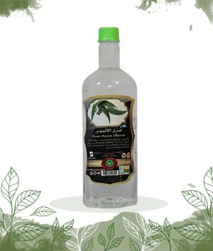 اکالیپتوس-زرگیاه-زرگیاه-زاگرس-عرقیجات-گیاه-عرق اکالیپتوس